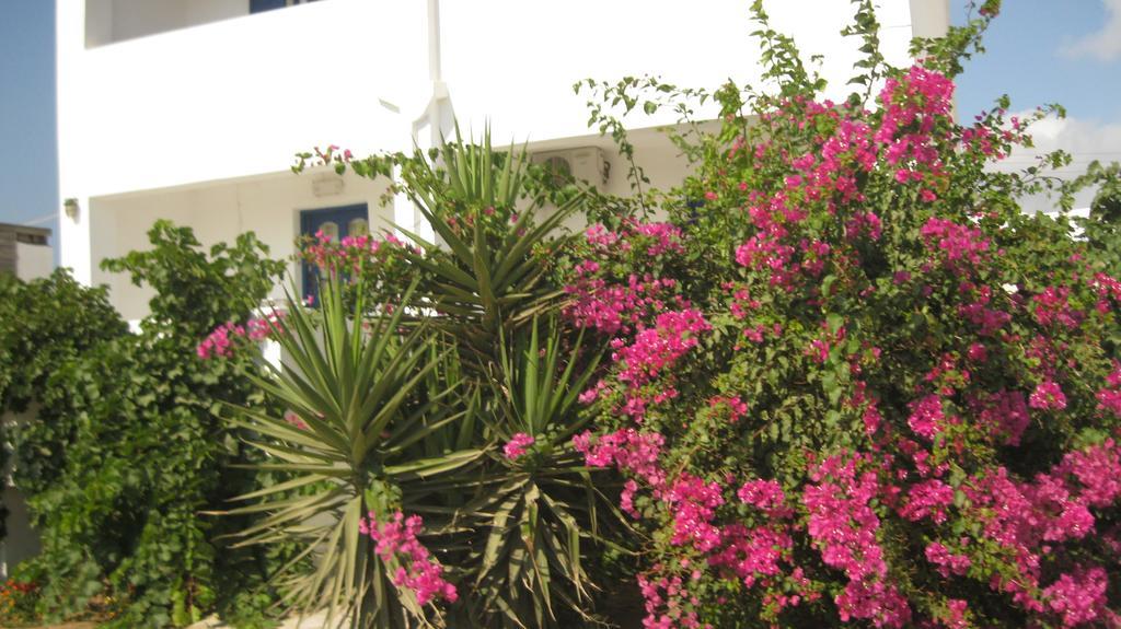 Aronis Plaka Naxos Apartamento Exterior foto